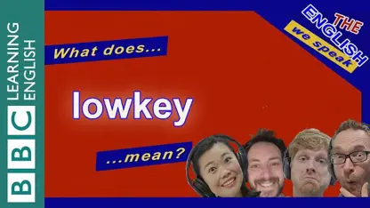 معنی اصطلاح 'lowkey' در زبان انگلیسی