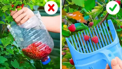 ترفند های 5 دقیقه ای - 🌸 نکات ساده گیاهی