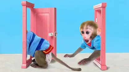 برنامه کودک بچه میمون - درب جادویی برای سرگرمی
