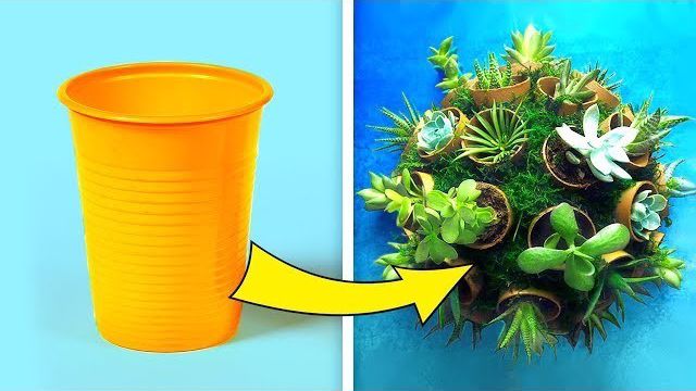 25 روش جدید برای گیاهان در خانه با ایده‌های عالی