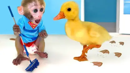 برنامه کودک بچه میمون - در وان حمام می کند برای سرگرمی