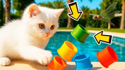 کنار استخر بازی میکند