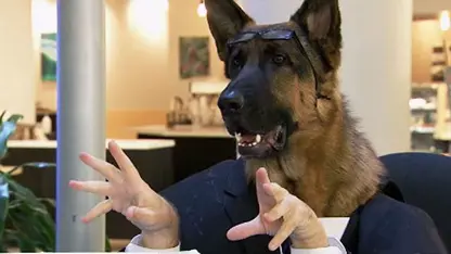 دوربین مخفی خنده دار - سگ به تجارت می رسد
