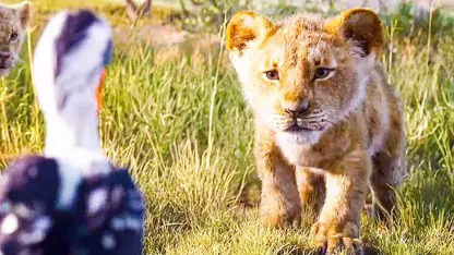 کلیپ جدید و دیدنی از فیلم شیر شاه (the lion king (2019