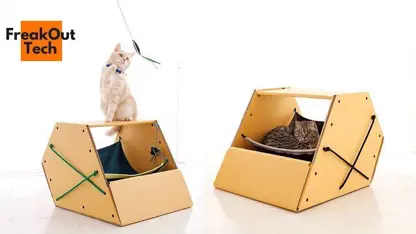 اشایی با 5 اختراع جدید برای گربه ها در چند دقیقه