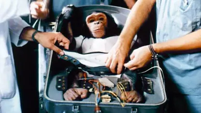فرستادن اولین شامپانزه به نام هام به فضا
