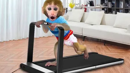 برنامه کودک بچه میمون - تعقیب کردن دزد و پلیس برای سرگرمی