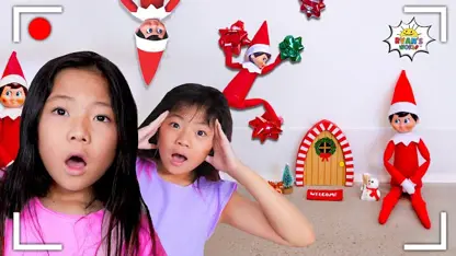 رایان این داستان روی قفسه گیر انداختند