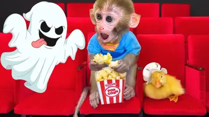 برنامه کودک بچه میمون - به سینما می رود برای سرگرمی