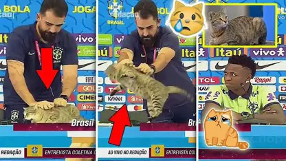 کلیپ ورزشی فوتبال - وحشی بازی مربی برزیل با گربه