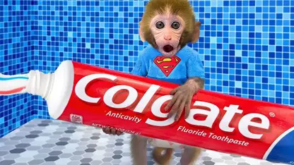 برنامه کودک بچه میمون - مسواک در توالت برای سرگرمی