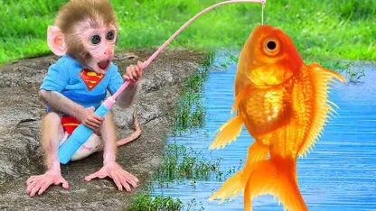 برنامه کودک بچه میمون - به ماهیگیری می رود برای سرگرمی