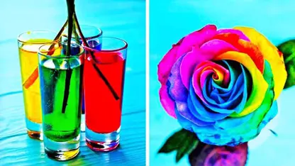 27 ترفند جالب با استفاده از گل های رنگی