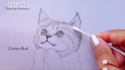 آموزش طراحی با مداد برای مبتدیان - چگونه یک گربه زیبا بکشیم