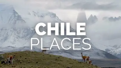 کلیپ گردشگری - بهترین مکان های توریستی در شیلی