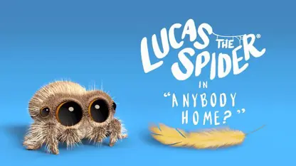 عنکبوتی به نام لوکاس این داستان "کسی خانه هست؟"