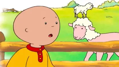 کارتون کایلو این داستان "کوتاهی مو های گوسفند"