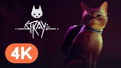 تریلر رسمی معرفی بازی stray در یک نگاه