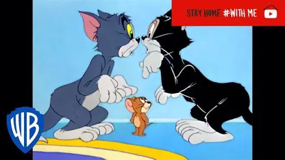 کارتون تام و جری با داستان " سرگرمی در خانه "