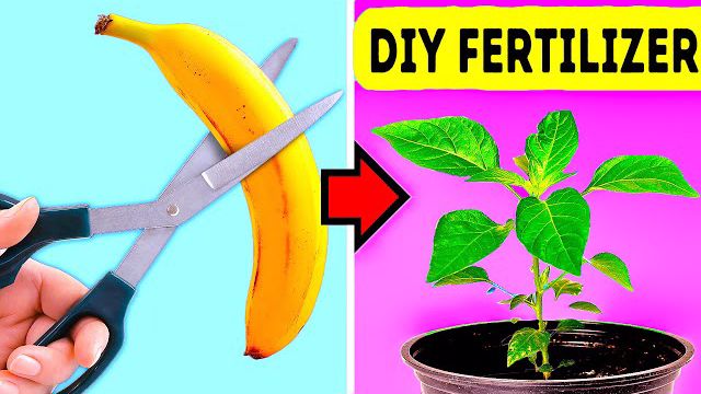 یادگیری 32 روش دیدنی با استفاده از میوه‌ها و درست کردن کود طبیعی