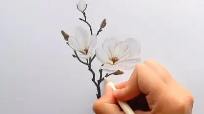 اموزش نقاشی با مداد رنگی " گل مگنولیای سفید "