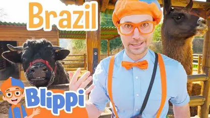 برنامه کودک بلیپی این داستان - باغ وحش پتینگ در برزیل