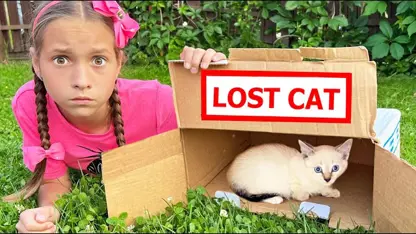 پرنسس سوفیا این داستان - بچه گربه گم شد!