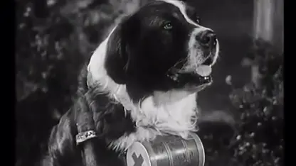 کلیپ خنده دار لورل هاردی این داستان " سگ براندی"