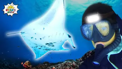 دنیای رایان این داستان - شنا کردن در هاوایی