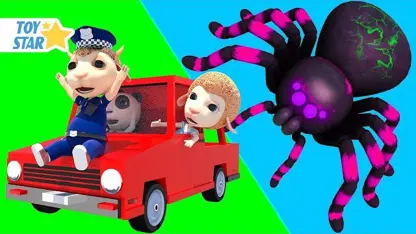 کارتون دالی و دوستان با داستان " عنکبوت در غار"