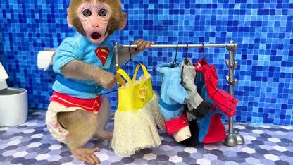 میمون آویزان کردن لباس برای سرگرمی