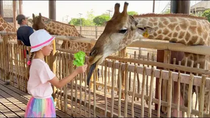 برنامه کودک پرنسس سوفیا این داستان - یک روز سرگرم کننده در باغ وحش