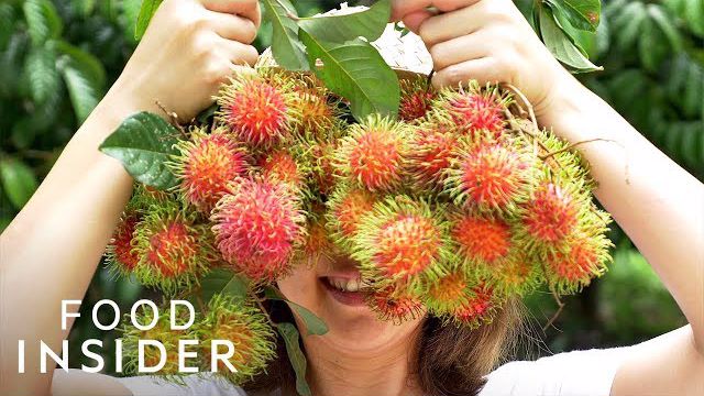 13 میوه خارق العاده و عجیب در سراسر جهان