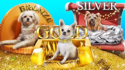 ترفند تروم تروم - سگ های برنزی و نقره ای و طلایی