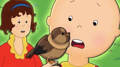 کارتون کایلو این داستان - کایلو و پرنده