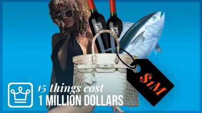 15 چیزی که با 1 میلیون دلار می توانید بخرید!