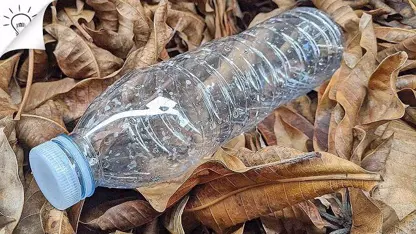 16 ایده برای بازیافت بطری پلاستیکی