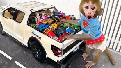 برنامه کودک بچه میمون - راندن ماشین