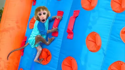 برنامه کودک بچه میمون - بازی در پارک آبی برای سرگرمی