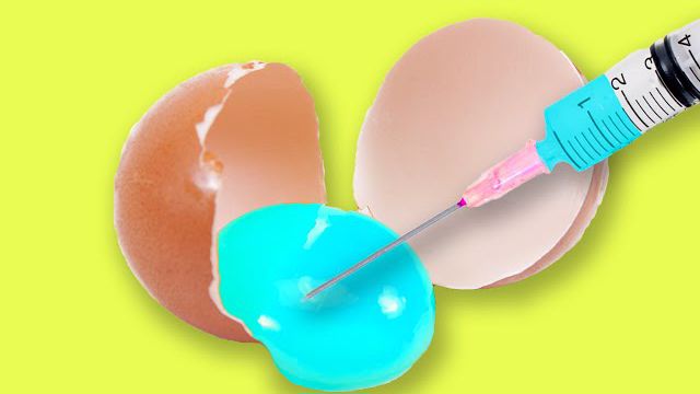 32 روش خوشمزه و زیبا با استفاده از تخم مرغ