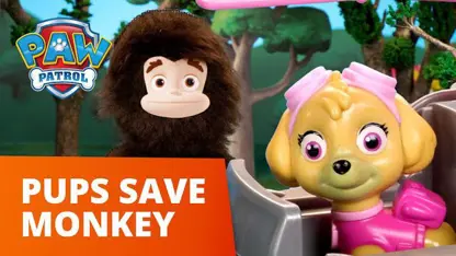 کارتون سگهای نگهبان با داستان - نجات میمون غول پیکر!