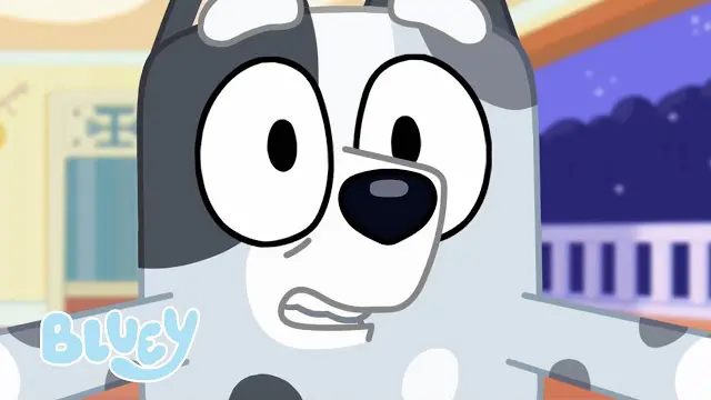 داستان حالت مهمانی