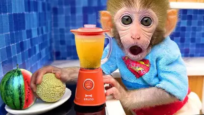 میمون اسموتی میوه می نوشد برای سرگرمی