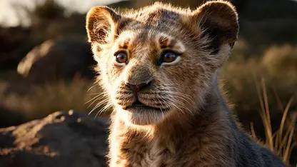 پیش نمایش فیلم mufasa: the lion king 2024 در یک نگاه