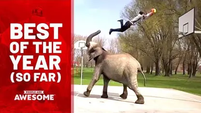 بهترین ویدئوهای سال از حرکات نمایشی ورزشی
