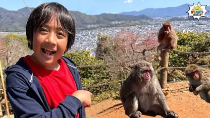دنیای رایان این داستان - بازدید از پارک میمون های واقعی