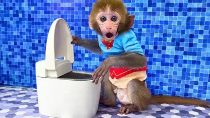 برنامه کودک بچه میمون - باز کردن در توالت