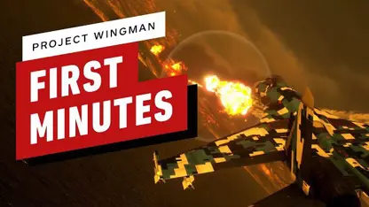 14 دقیقه از بازی project wingman در یک نگاه