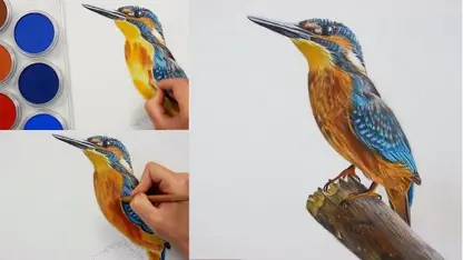 نقاشی و رنگ امیزی یک پرنده با مداد رنگی و پاستل