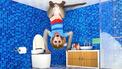 برنامه کودک بچه میمون - توالت رفتن برعکس